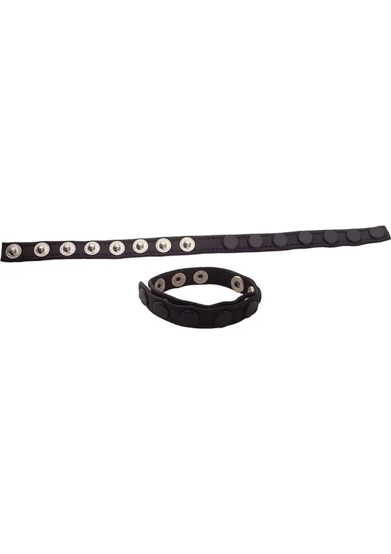 pandtstore.myshopify3521296