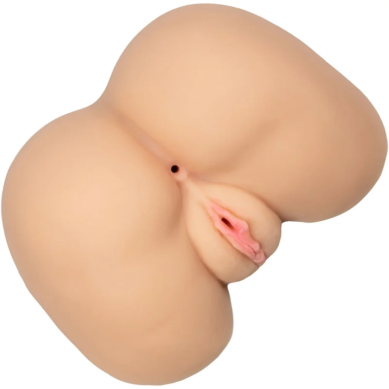 shevibe3522681