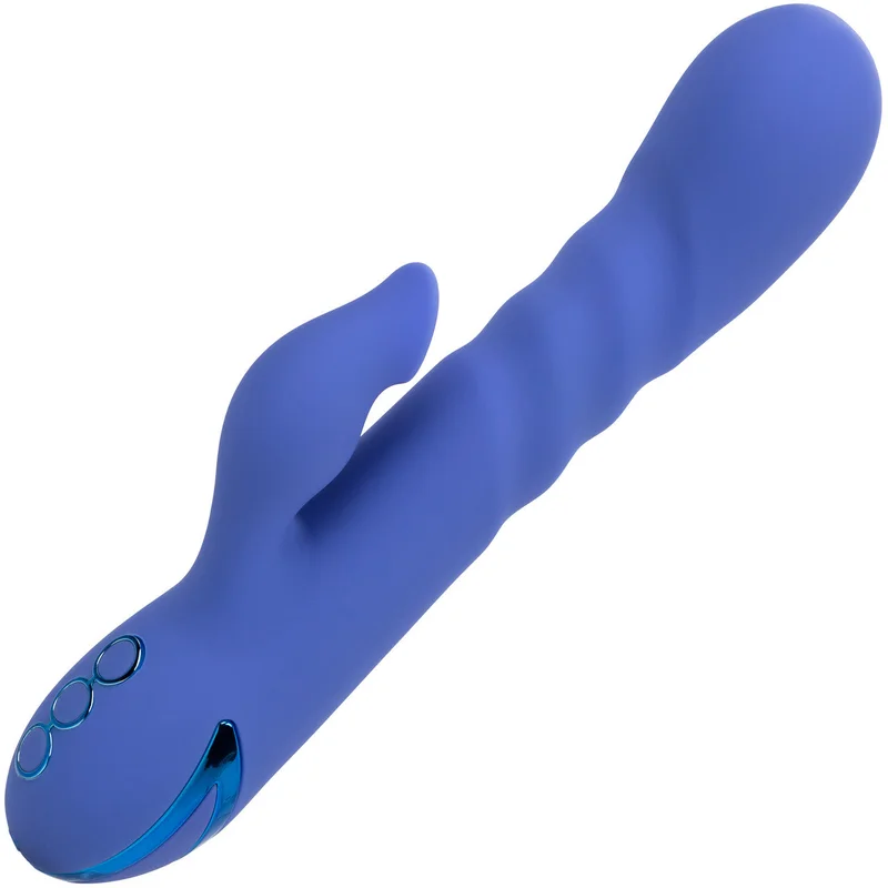 shevibe3539696