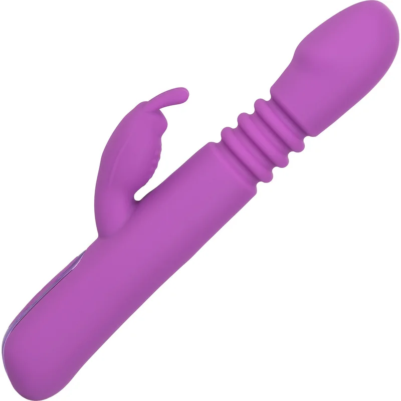 shevibe3544523