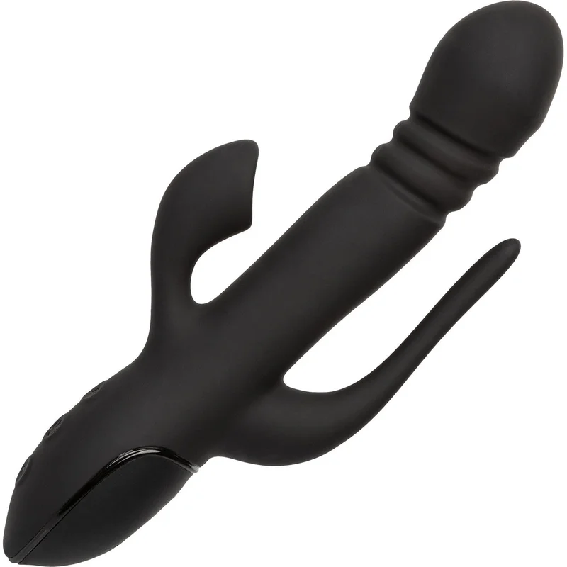 shevibe3544577